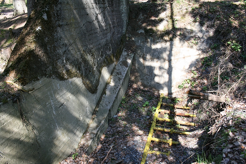 a 294